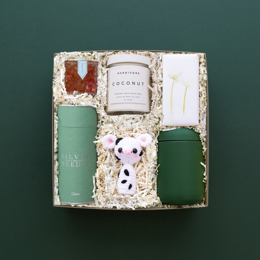 real estate gift box for a new parent on green background