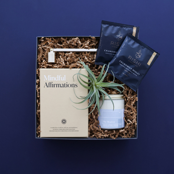 wellness gift box with air plant on navy blue background
