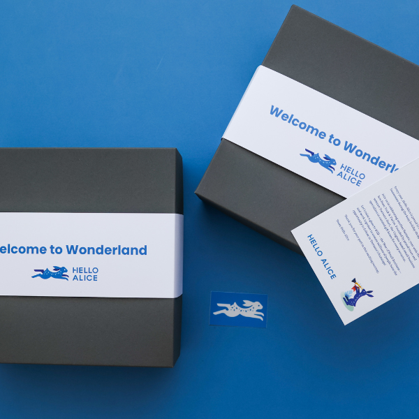 hello alice custom holiday packaging on blue background