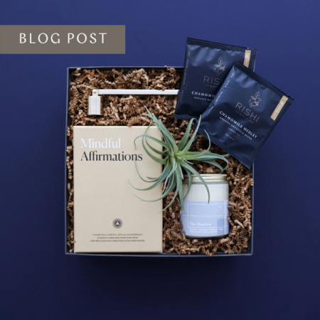 gift box with air plant and mindfulness cards